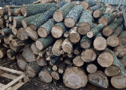 Доставка дров Ківерці | рубані метрові дрова ціна (Киверцы)