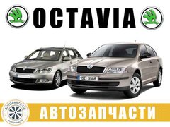 АВТОРАЗБОРКА РАЗБОРКА Skoda Octavia A5 (2004-2013) (Луцк)